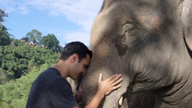 Elephant Walk – Thailand