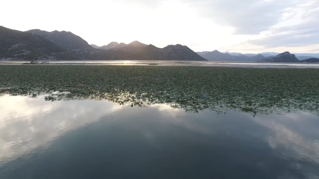 Skadar Lake – Montenegro