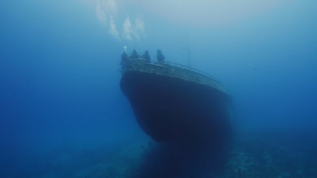 Shipwreck Dive Bahamas